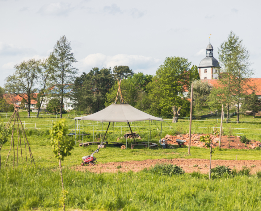 Gemeinschaftsgarten Erdumdrehung e. V. (Foto: Filip Goncalves)