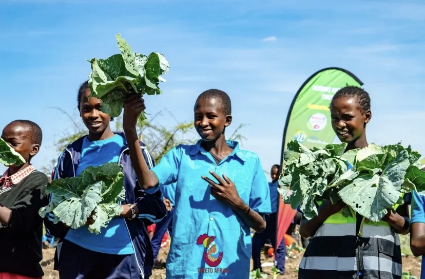 Gute Ernte (Foto: Tareto Africa Trust)